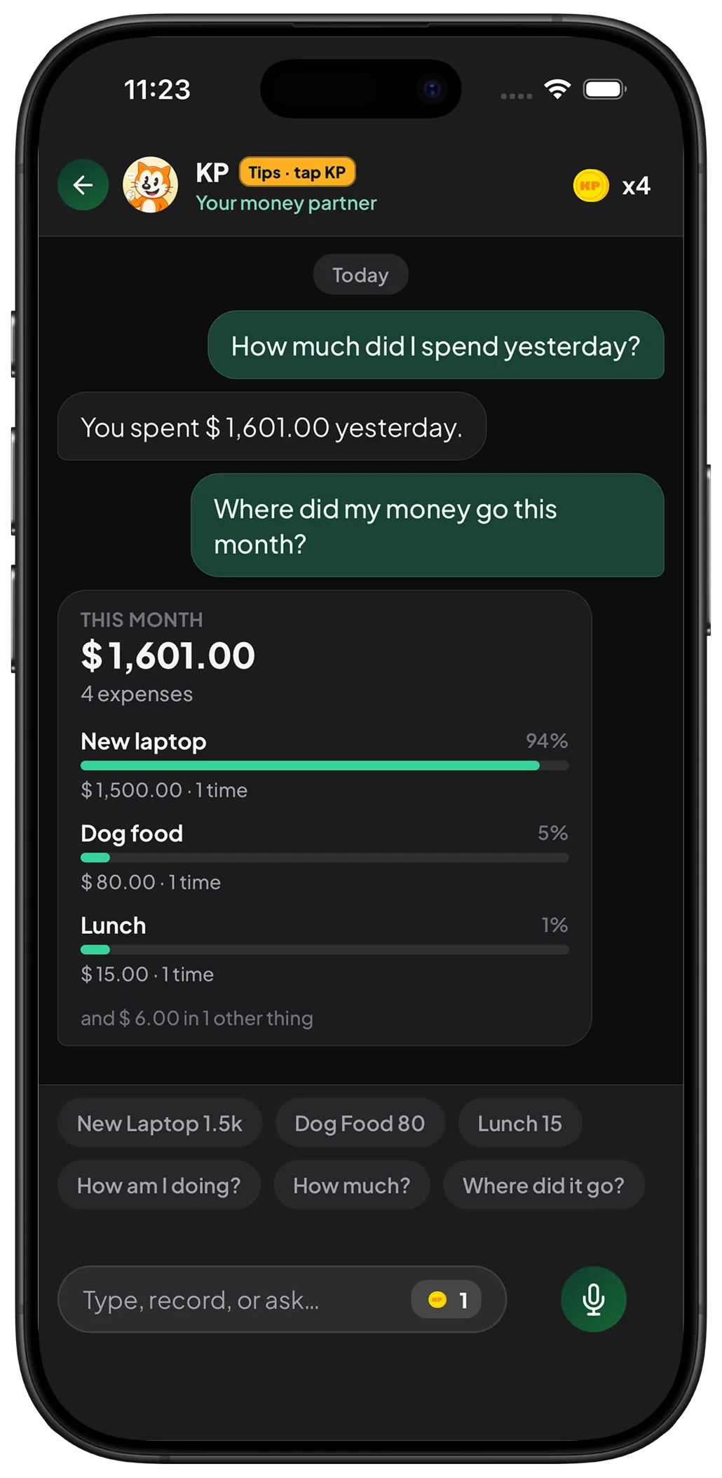 KP chat answering how much was spent today and where money went this month