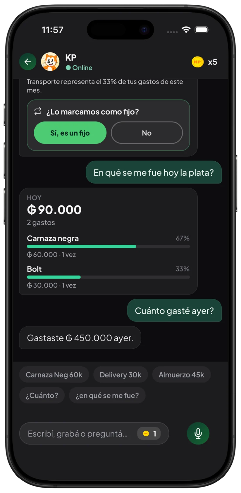 Consultas a KP sobre gastos personales registrados en guaraníes